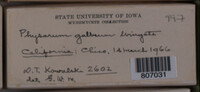 Image Associated With the Occurence